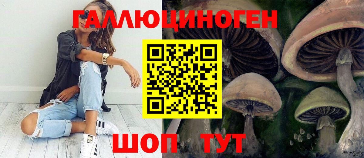 Галлюциногенные грибы Psilocybine cubensis  Вход с VPN  Ульяновск 